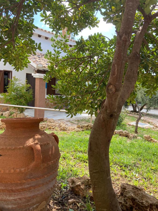 Complejo Rural Ibipozo Guest House Pozo Alcon Luaran gambar