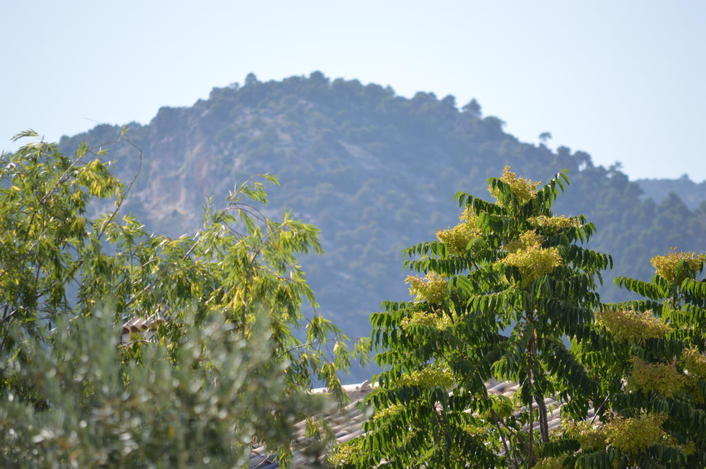 Complejo Rural Ibipozo Guest House Pozo Alcon Luaran gambar